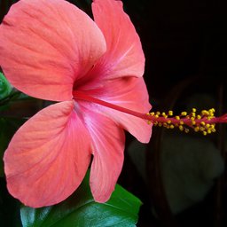 100_1051