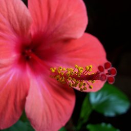 100_1052